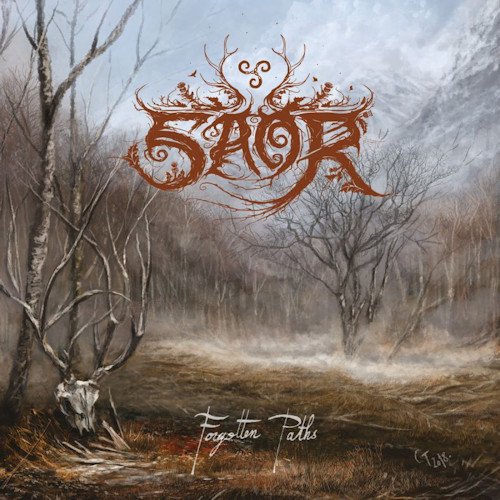 SAOR - FORGOTTEN PATHSSAOR - FORGOTTEN PATHS.jpg